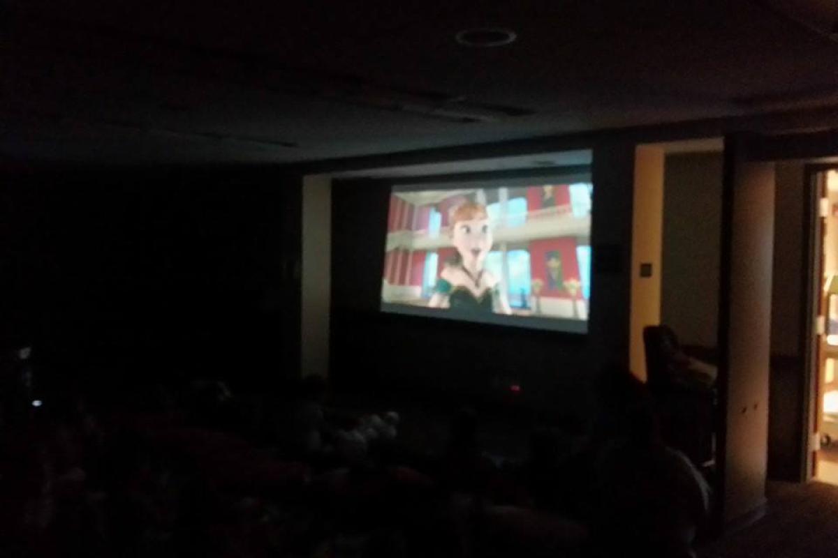 Frozen Movie Night at the Village Hall